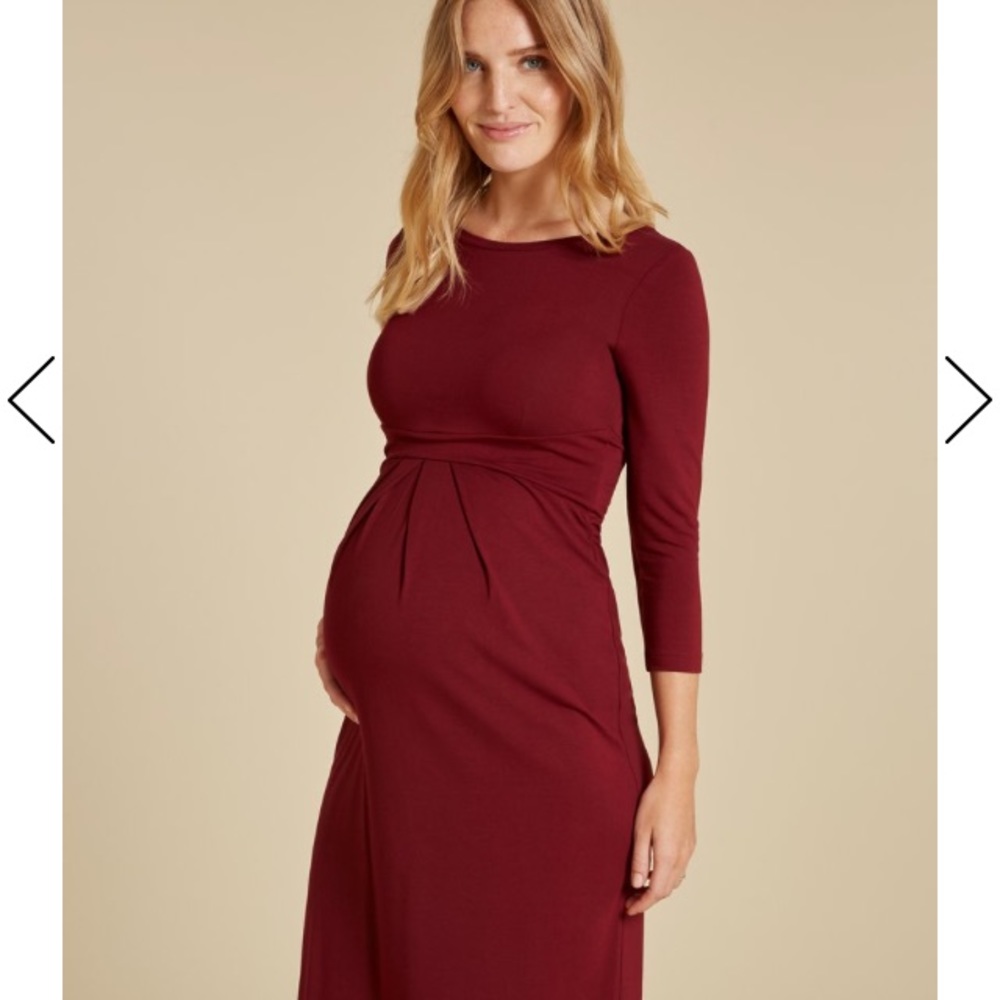 COPY - Isabella Oliver Ivybridge Maternity Dress